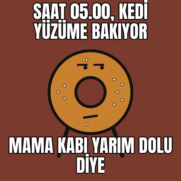Kedi sabah 5'te
