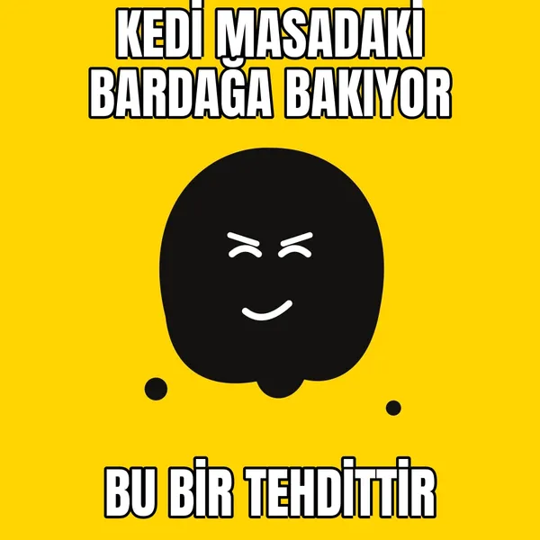 Kedi bardağa bakıyor