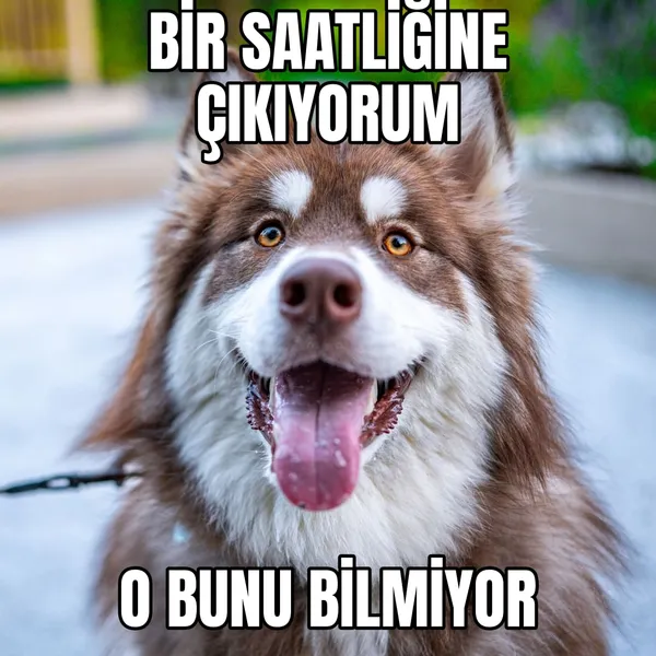 Bir saatliğine çıkıyorum