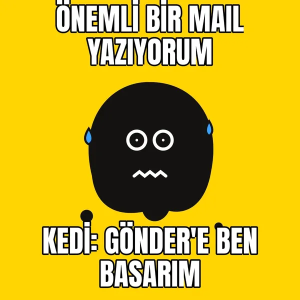Kedi klavyede