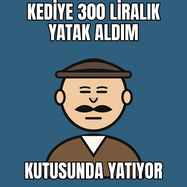 Kedi yatağı yerine kutu