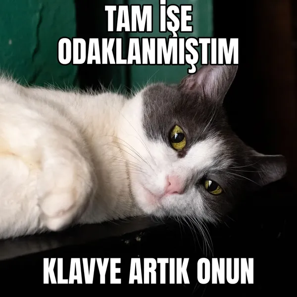 Klavye artık onun