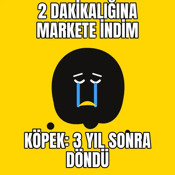 Köpek kapıda bekliyor