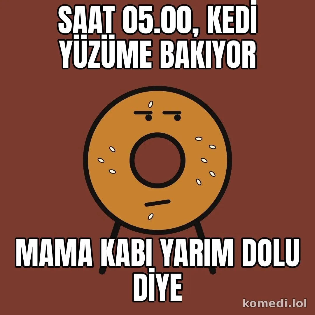 Kedi sabah 5'te