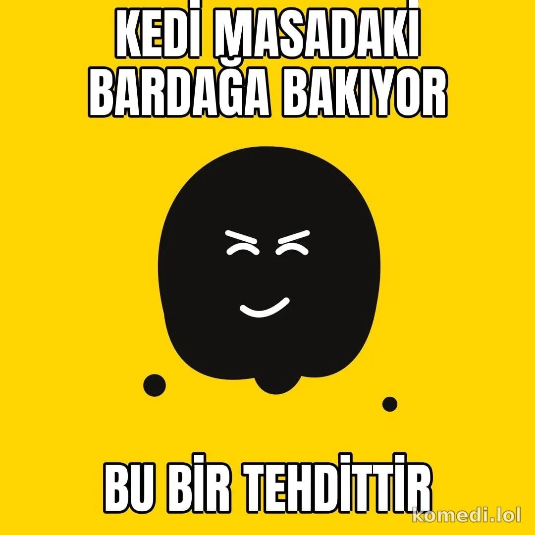 Kedi bardağa bakıyor
