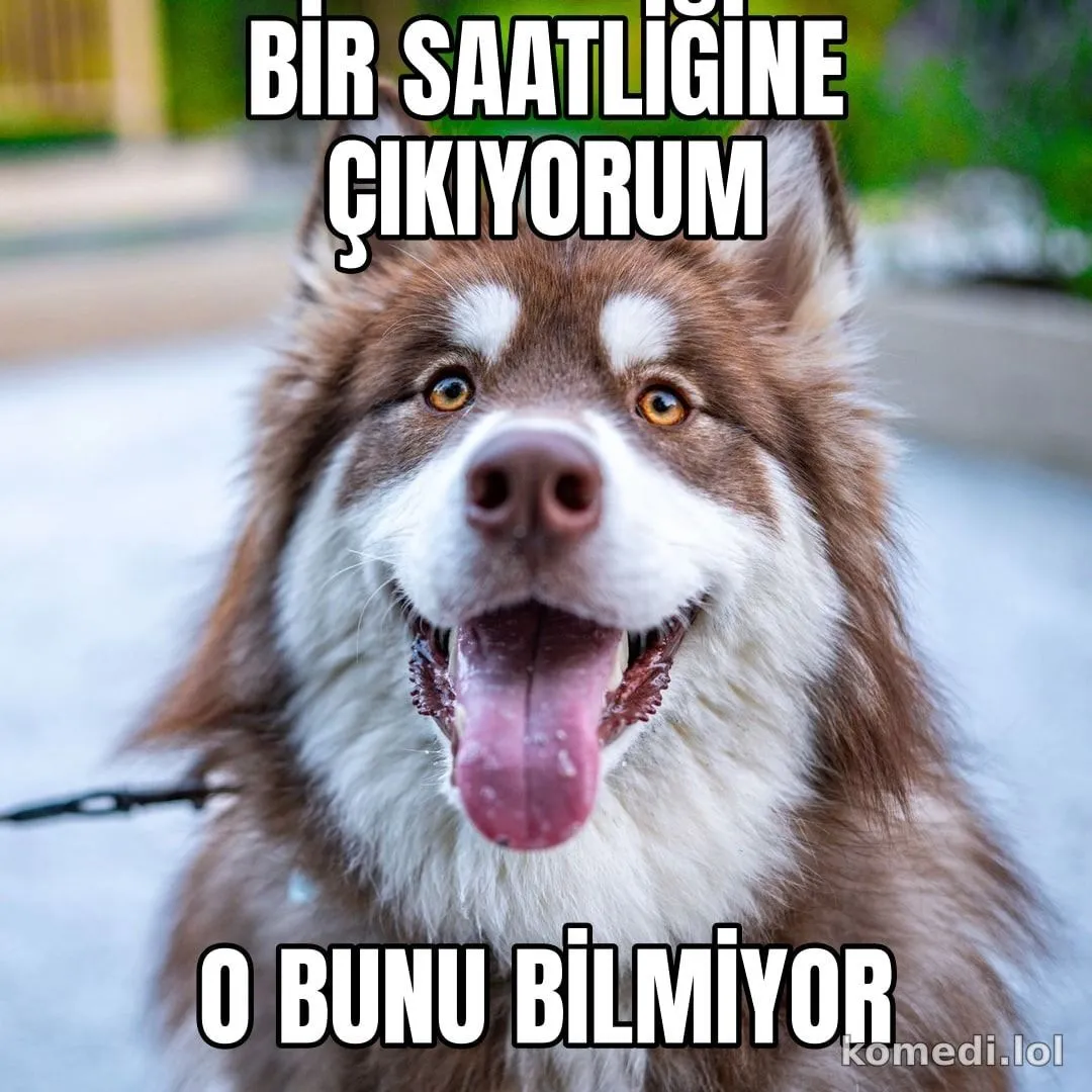 Bir saatliğine çıkıyorum