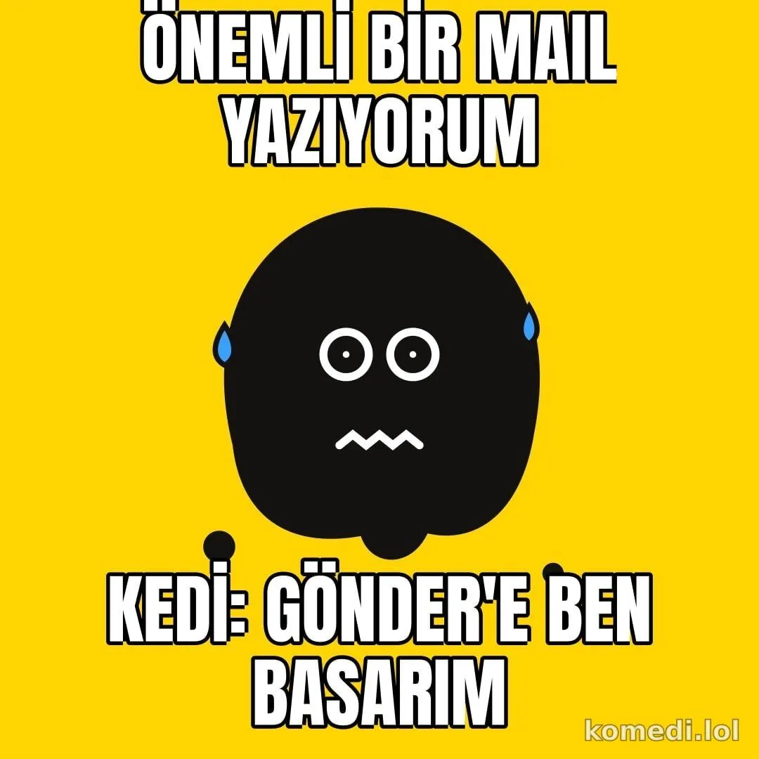 Kedi klavyede