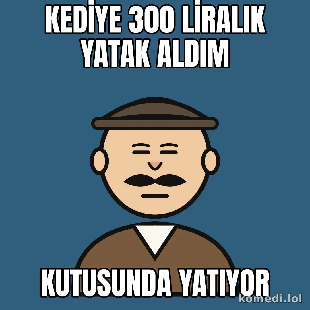 Kedi yatağı yerine kutu