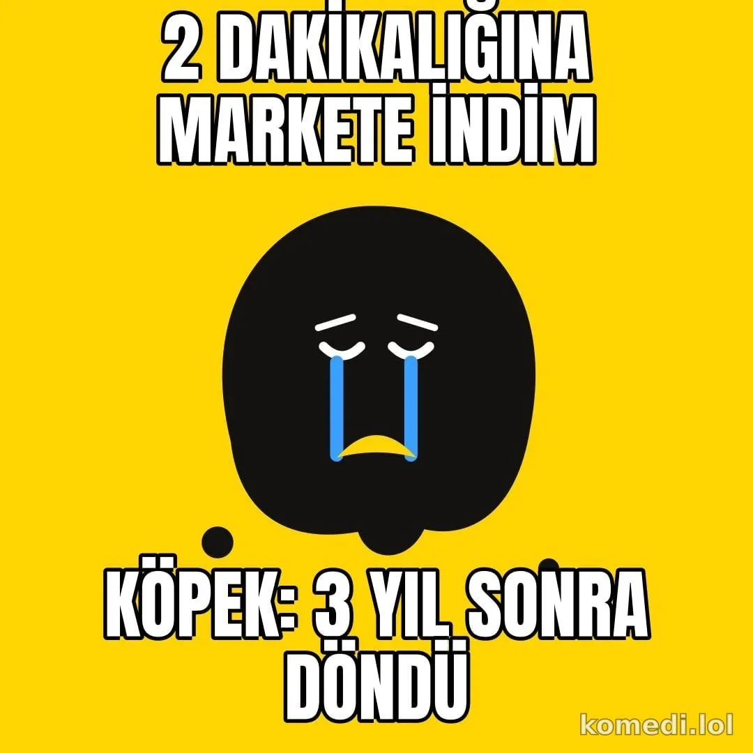 Köpek kapıda bekliyor